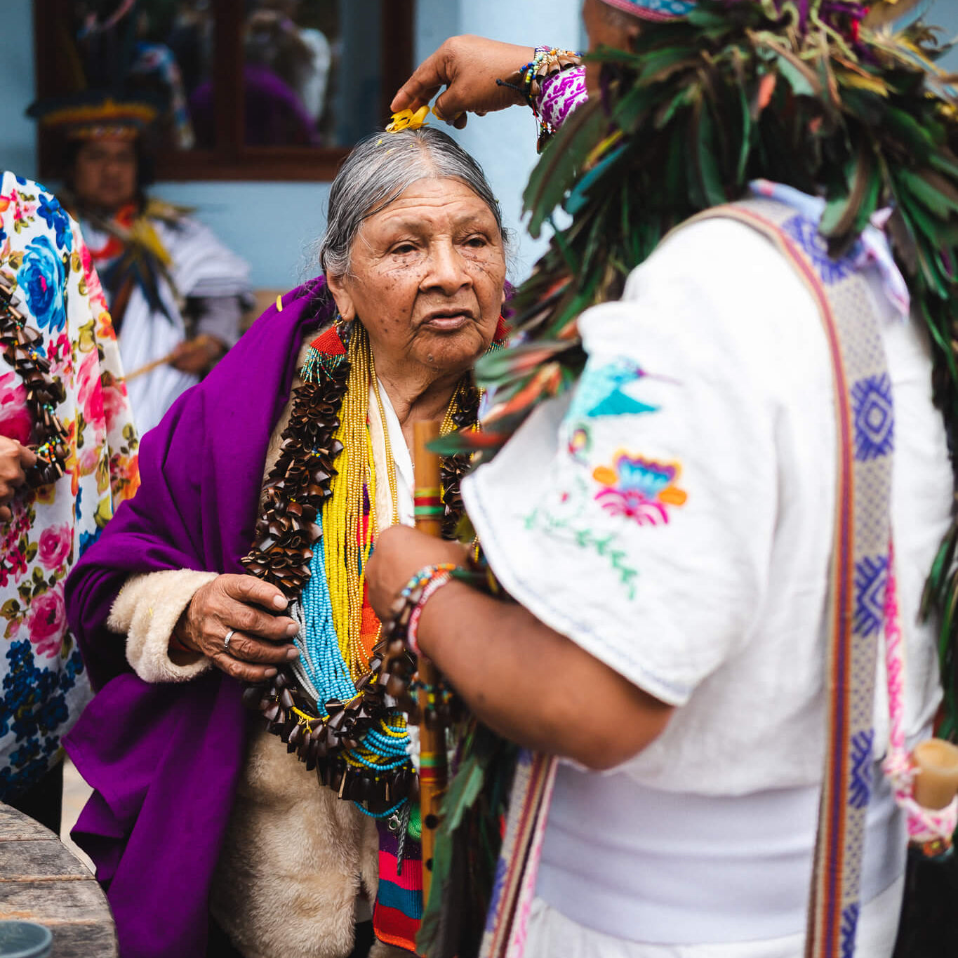 Colombiaanse vrouw krijgt bloemen op haar hoofd tijdens het Carnaval del Perdón, omringd door de Inga-stam in traditionele veren tooi
