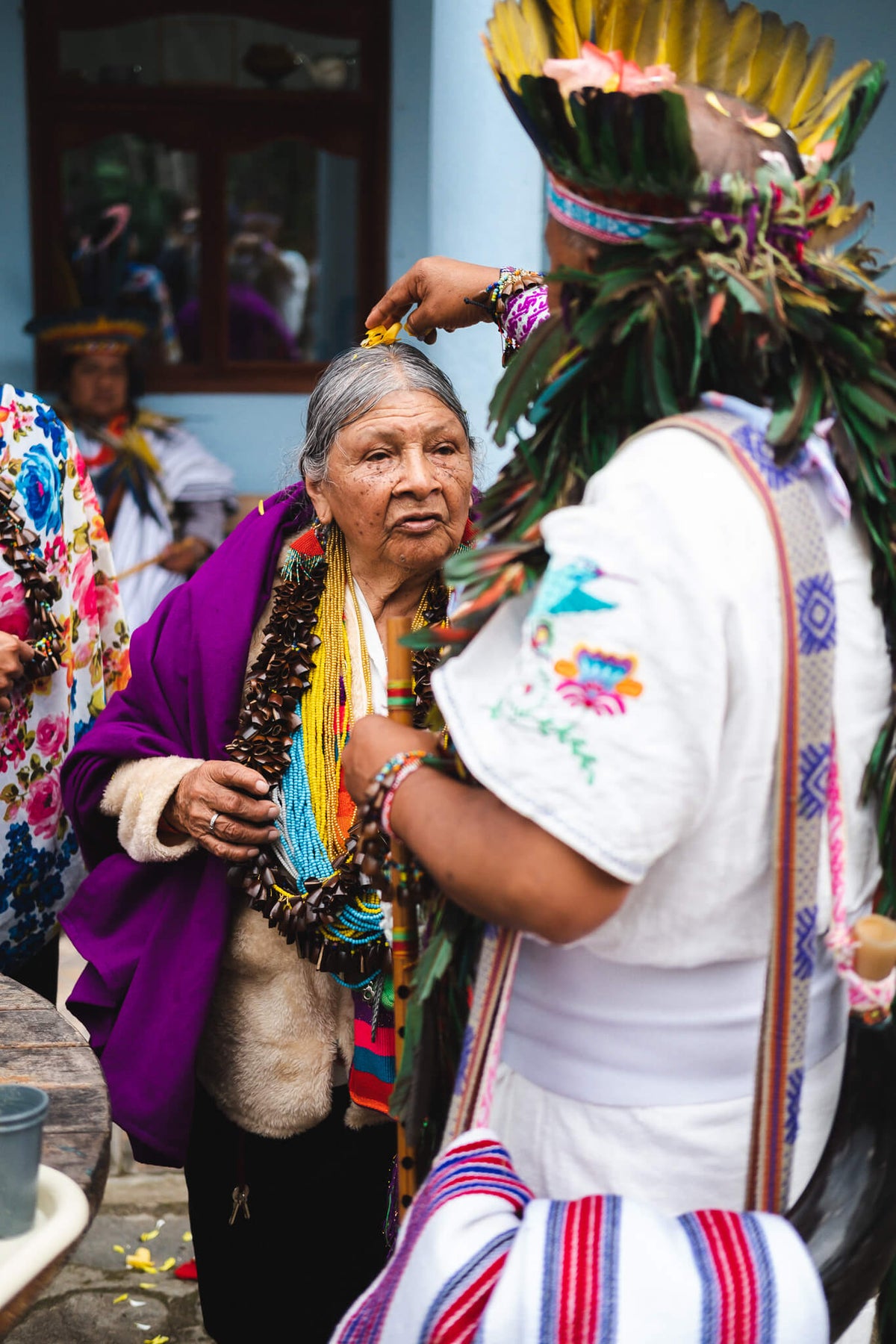 Colombiaanse vrouw krijgt bloemen op haar hoofd tijdens het Carnaval del Perdón, omringd door de Inga-stam in traditionele veren tooi